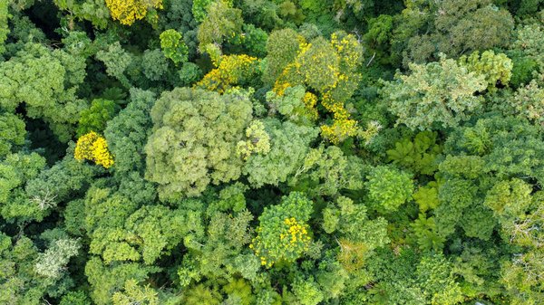 Comment choisir la meilleure application de CV pour optimiser vos candidatures