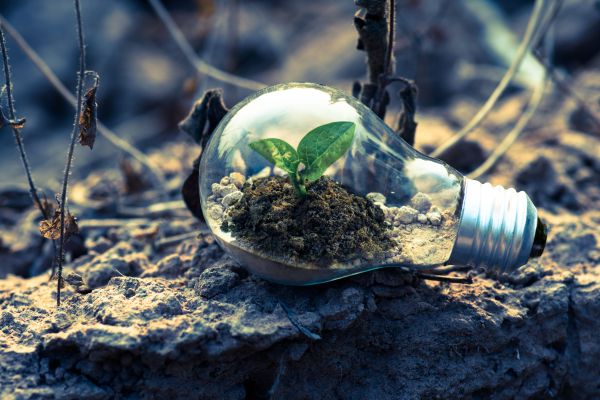 5 Raisons d'adopter une transition écologique durable
